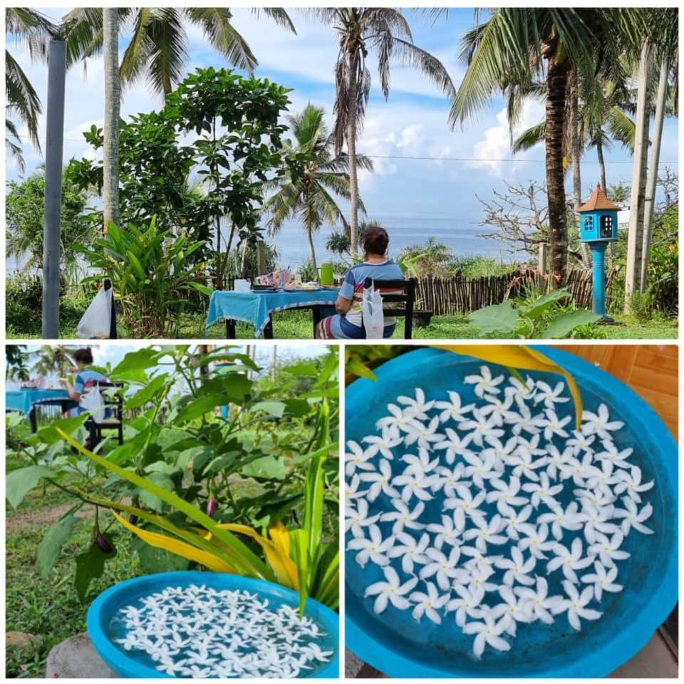 Tehan Homestay 디크웰라 객실 사진